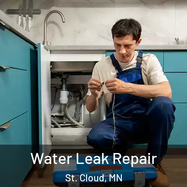  Water Leak Repair St. Cloud, MN